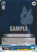 Night of the Canned-up Training Camp, Anna (MKI/W126-E081 R) [Makeine: Too Many Losing Heroines!]
