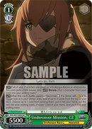 Undercover Mission, CZ (OVL/SE51-E40H HC) [Nazarick: Tomb of the Undead Vol.3 Extra Booster]