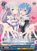Welcome to This World! Emilia & Rem (RZ/S46-TE35 TD) [Re:ZERO]