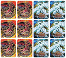 Collectible Tin - Display (Red Nova Dragon/Shooting Star Dragon)