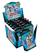 Shining Victories - Special Edition Display