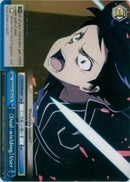 Dual-wielding User (SAO/S20-TE14 TD) [Sword Art Online]