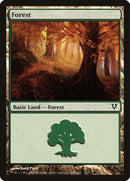 Forest (243) [Avacyn Restored]